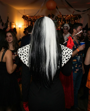 GEMINI - LIT UNICORNS